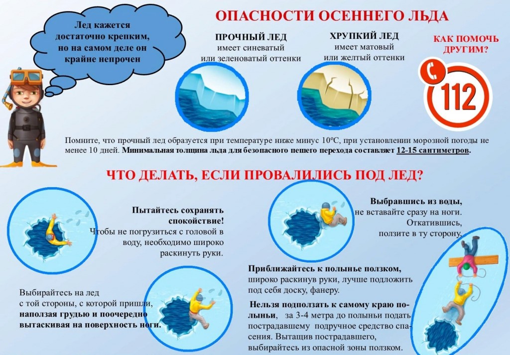 Минус Здравствуй Новый Учебный Год